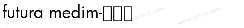 futura medim字体转换